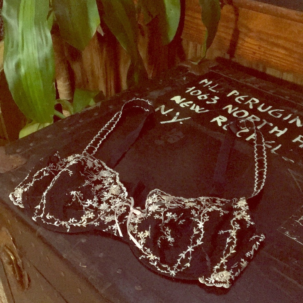 Apt 9 Sheer Black w/Pink&Tan 34DD Bra